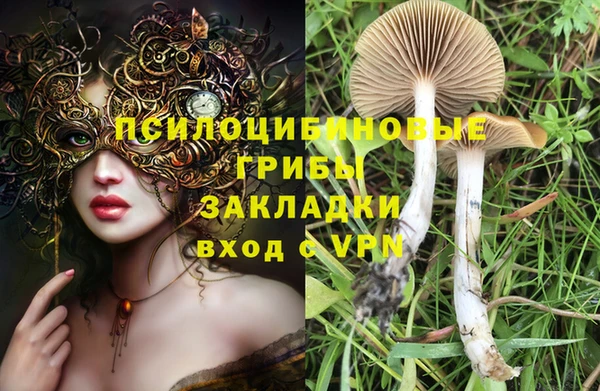 соль курить ск Медногорск