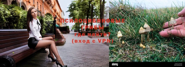 мдпв Беломорск