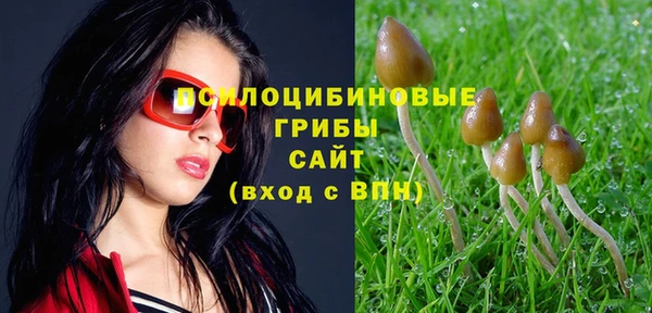 соль курить ск Медногорск