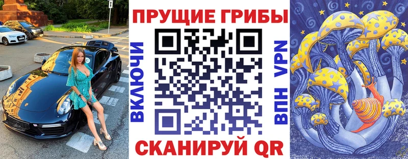 Псилоцибиновые грибы прущие грибы  Тырныауз 